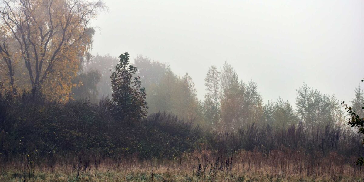 Sarkvidéki hideg légtömeg érkezik: jövő héten havazhat a hegyekben