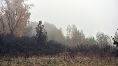 Sarkvidéki hideg légtömeg érkezik: jövő héten havazhat a hegyekben