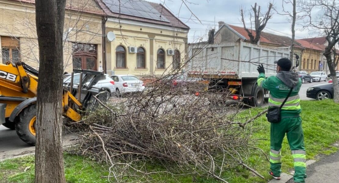 Október 5-től ingyen szállítják el a zöldhulladékot Nagyváradon – itt a zónák menetrendje