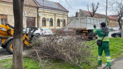 Október 5-től ingyen szállítják el a zöldhulladékot Nagyváradon – itt a zónák menetrendje