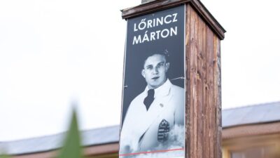 Hazatalált Korondra Lőrincz Márton olimpiai tölgyének csemetéje