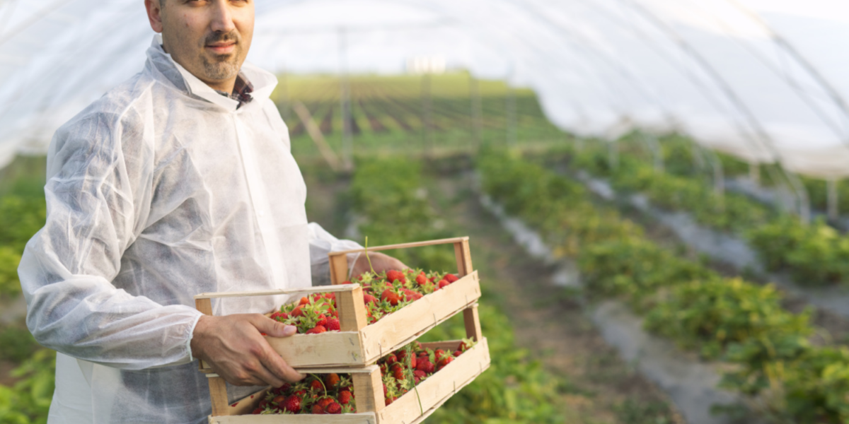 170 millió euró a fiatal gazdáknak: október 6-án indul a farmfejlesztési pályázat