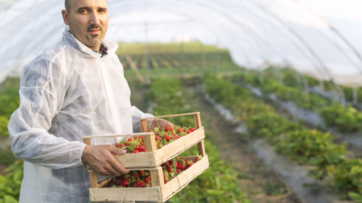 170 millió euró a fiatal gazdáknak: október 6-án indul a farmfejlesztési pályázat